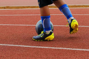 hth最新入口-篮球运动员心理健康支持体系构建，篮球运动员心理健康支持体系构建方案