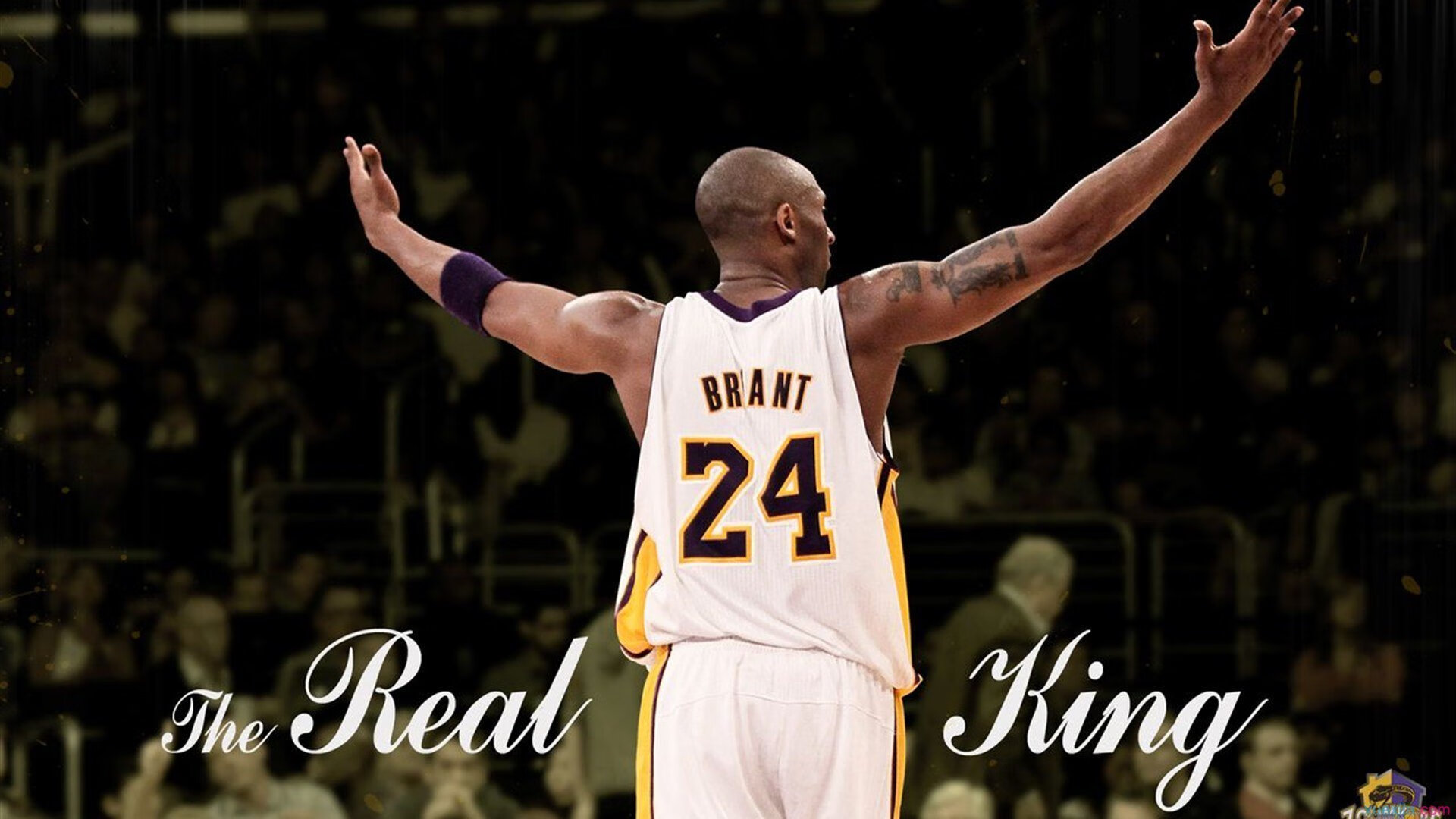 华体会官方网站-冠军赛季回顾：数据与瞬间把握胜利脉络，2020赛季冠军